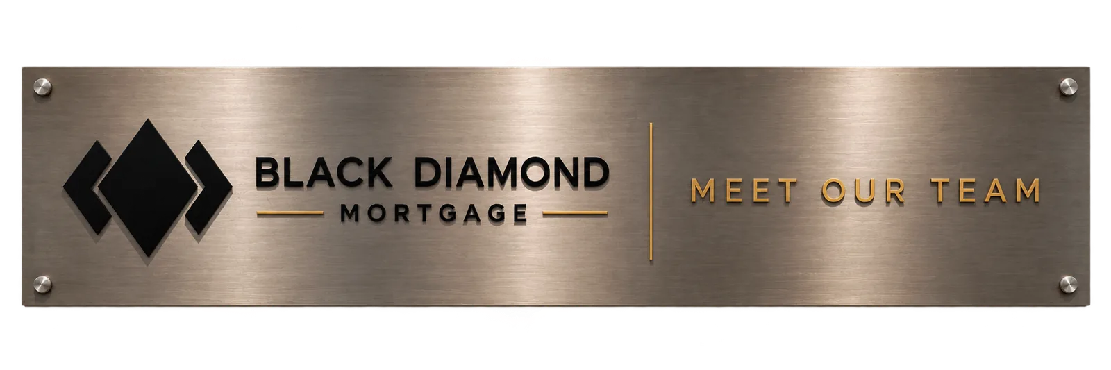 Meet our Team